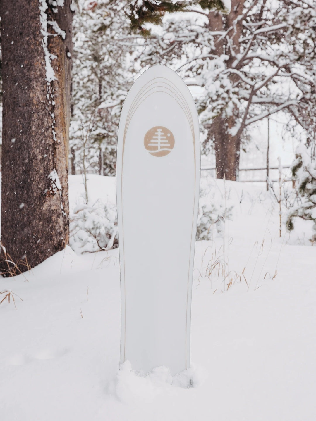 Family Tree Backseat Driver Board [209631] 【大型商品】｜BURTON【W_10】