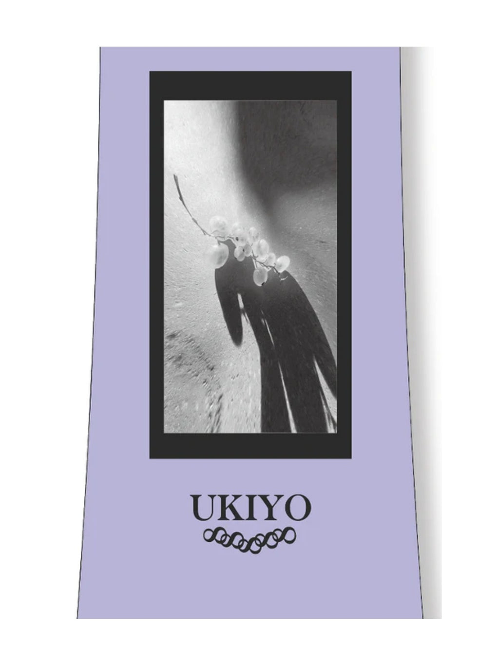 25/26モデル Owner 【大型商品】｜Ukiyo Snowboard