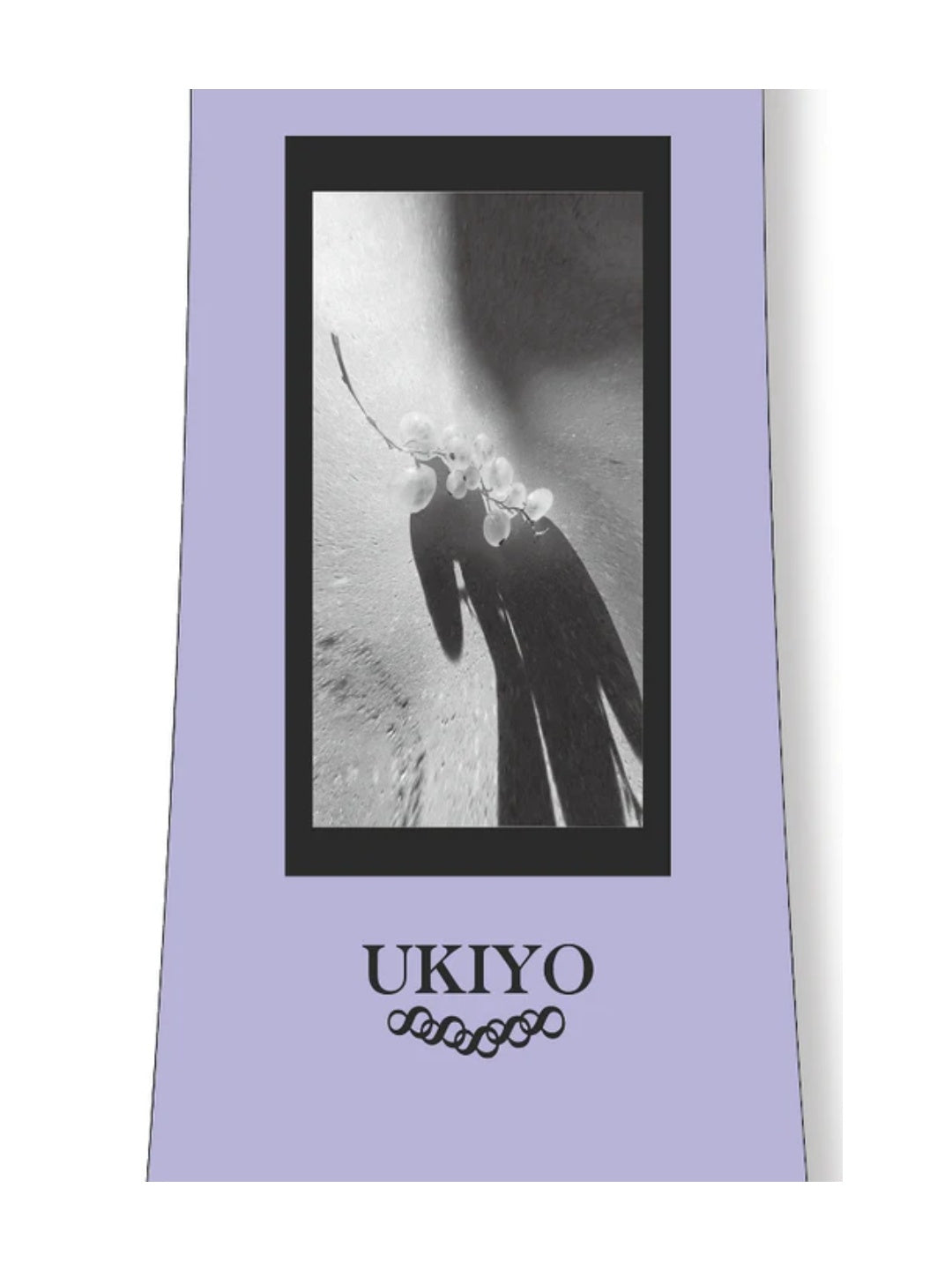 25/26モデル Owner 【大型商品】｜Ukiyo Snowboard