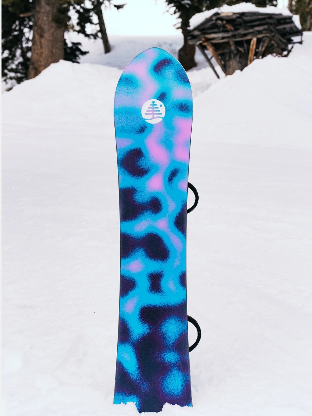 25/26モデル Family Tree Sketch Artist Camber Snowboard [302901] 【大型商品】｜BURTON