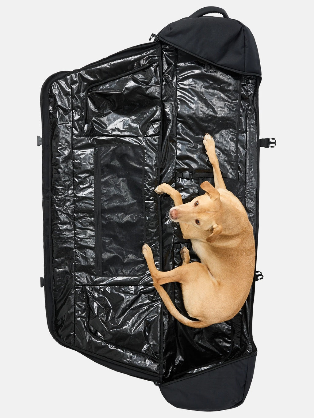 Wheelie Flight Attendant Snowboard Bag #TRUE BLACK [234921]｜BURTON