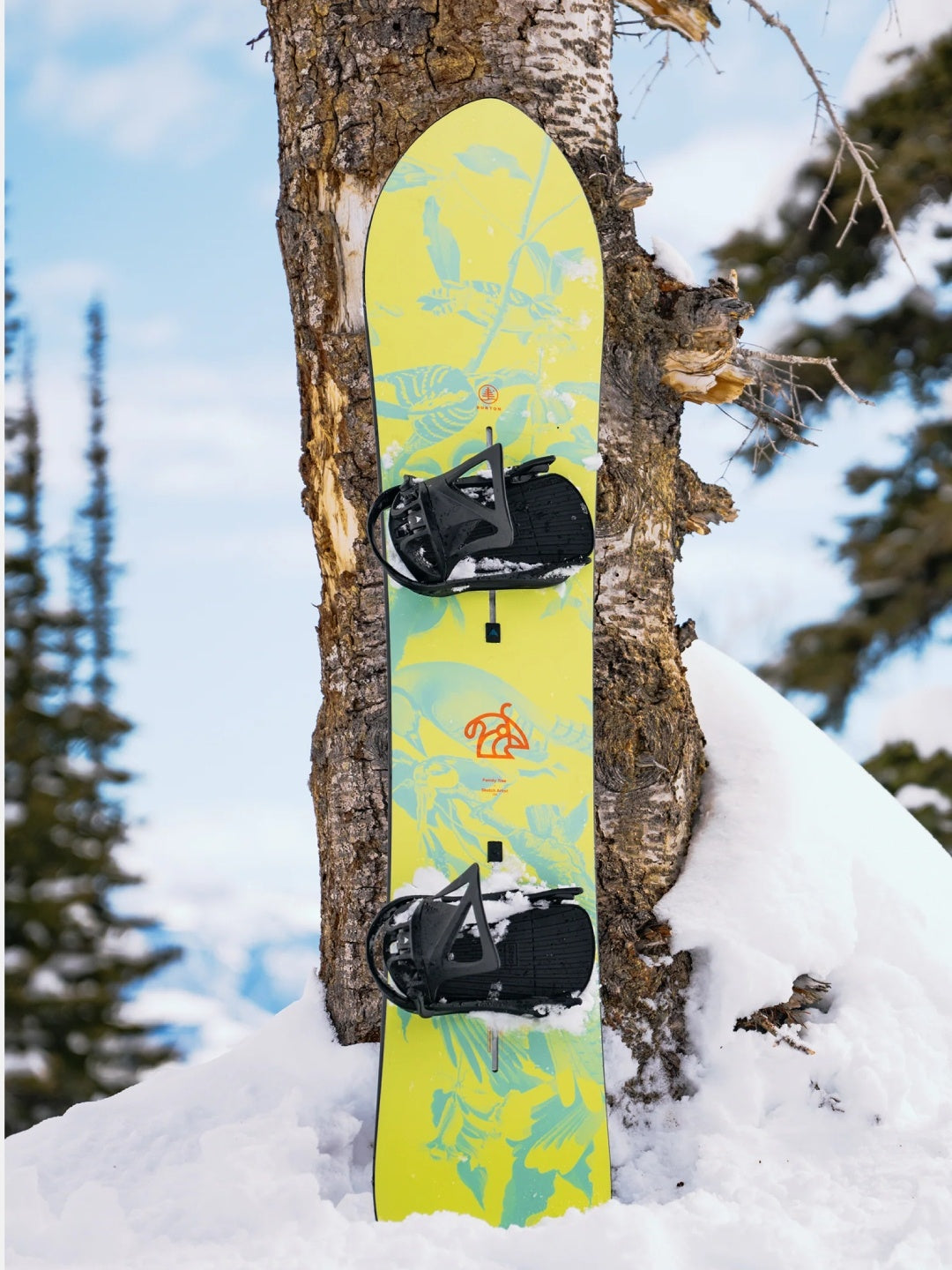 25/26モデル Family Tree Sketch Artist Camber Snowboard [302901] 【大型商品】｜BURTON