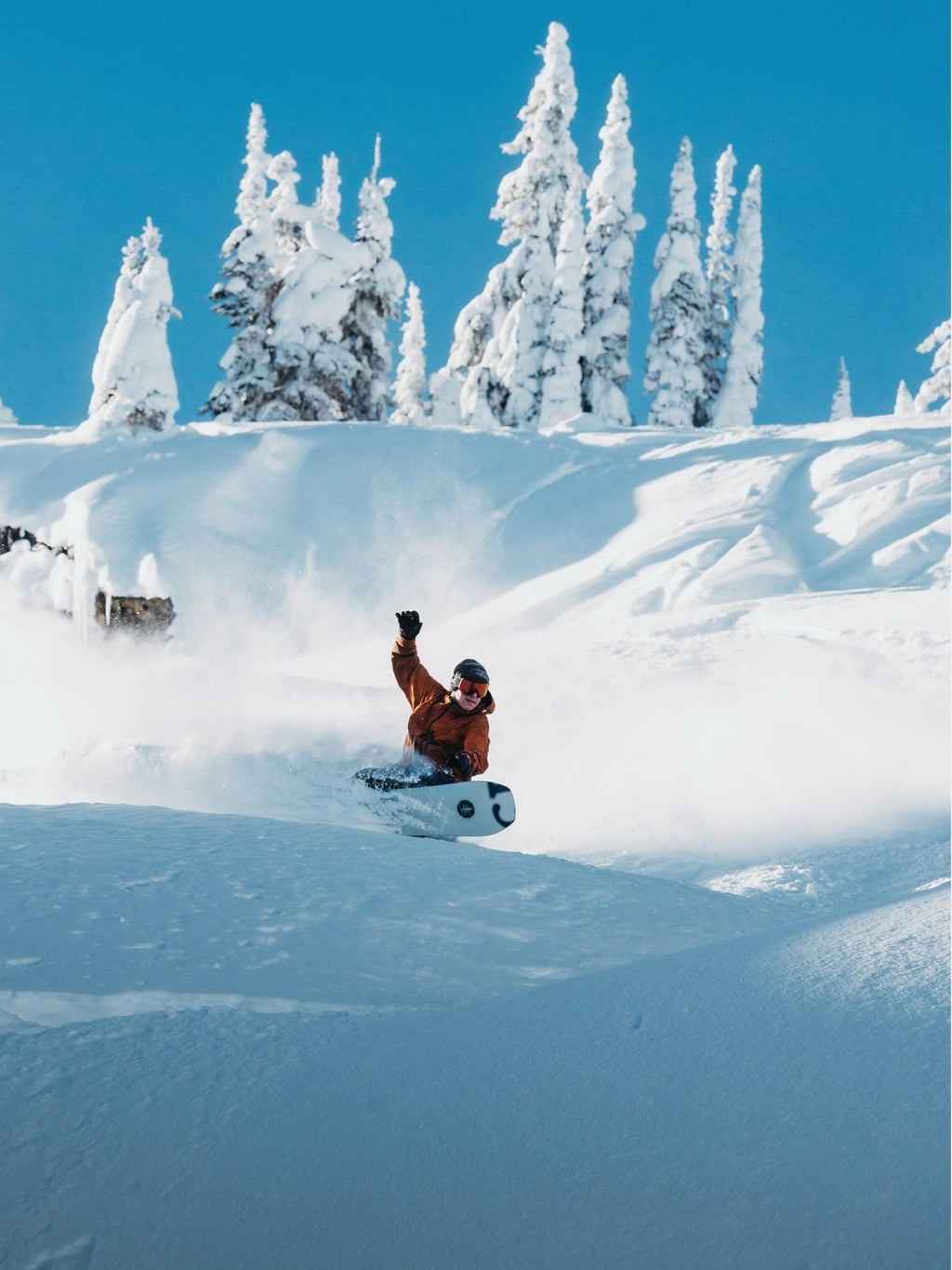 25/26モデル Family Tree Hometown Hero Camber Snowboard #XRAY [222451] 【大型商品】｜BURTON