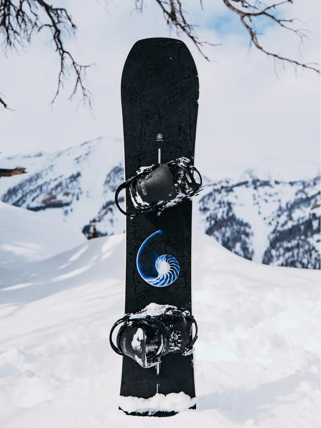 25/26モデル Family Tree Hometown Hero Camber Snowboard #XRAY [222451] 【大型商品】｜BURTON