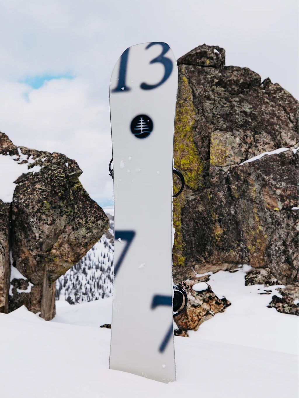 25/26モデル Family Tree Hometown Hero Camber Snowboard #XRAY [222451] 【大型商品】｜BURTON