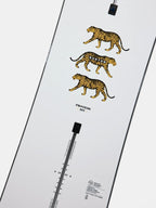 24/25モデル Men's Process Camber Board [106921] 【大型商品】｜BURTON