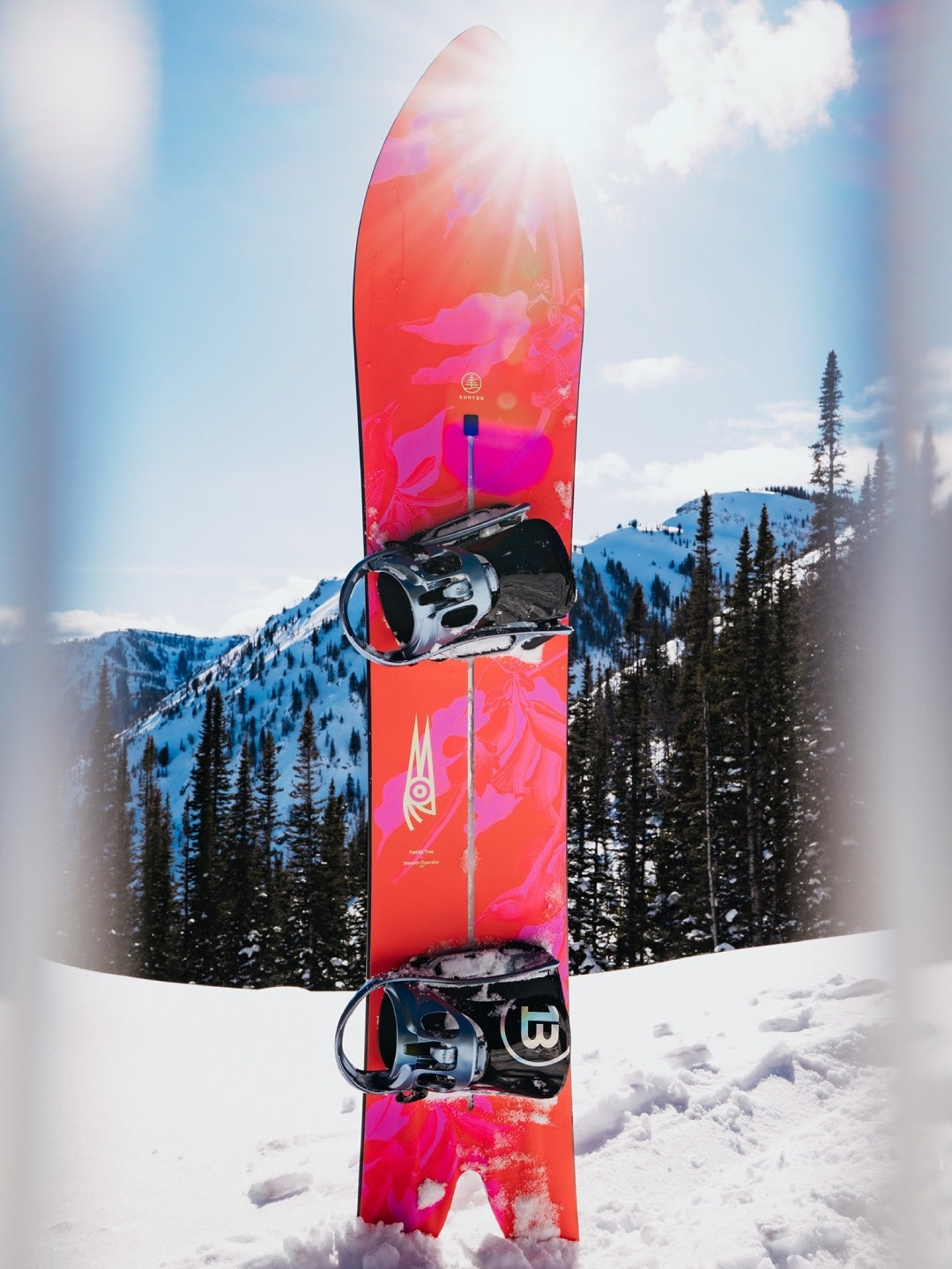 25/26モデル Family Tree Smooth Operator Camber Snowboard [302911] 【大型商品】｜BURTON