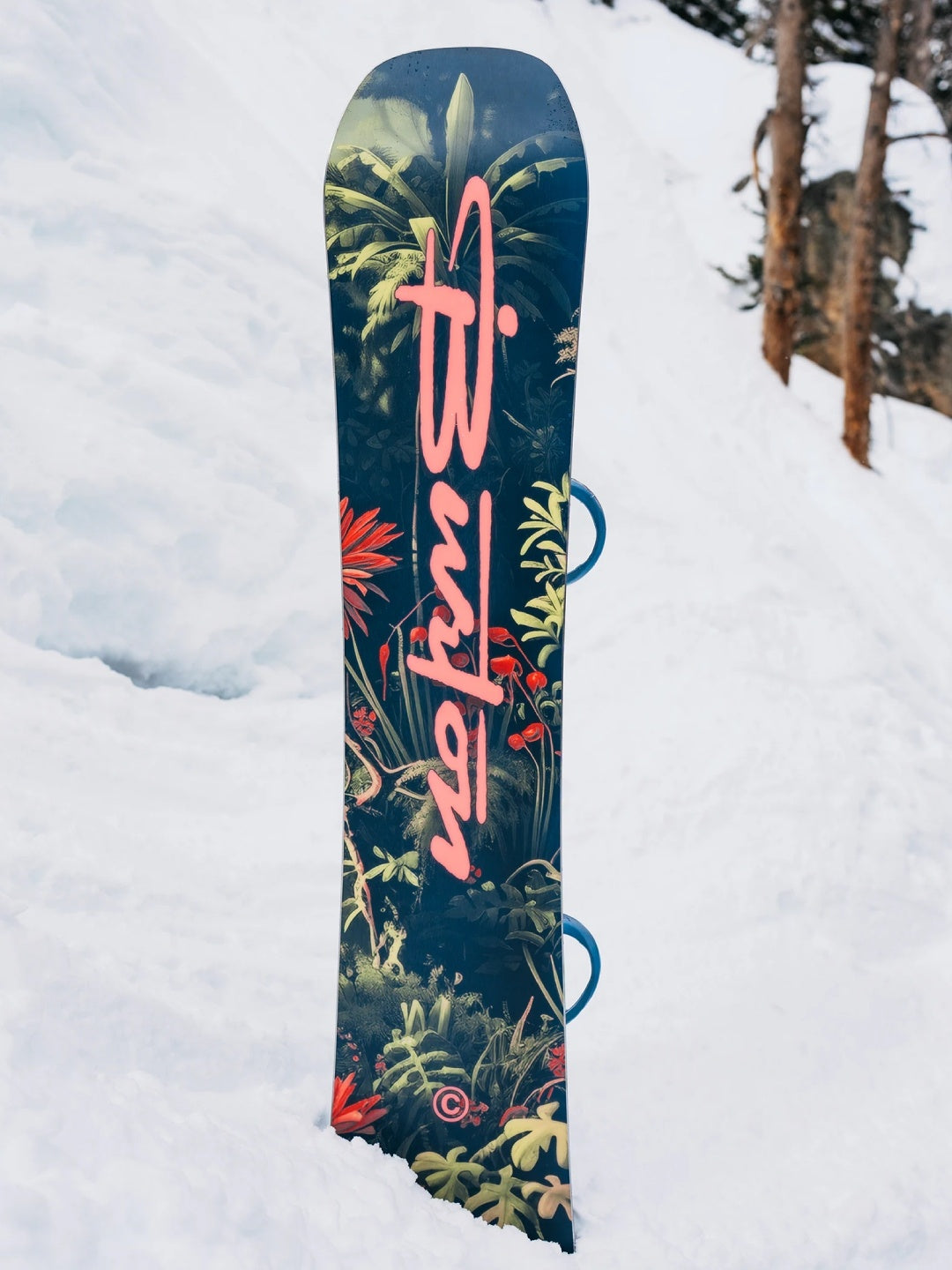 25/26モデル Men's Custom Camber Snowboard #JUNGLE [106881] 【大型商品】｜BURTON